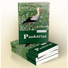 Mindaugas Kirstukas - PAUKŠČIAI