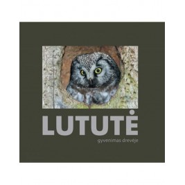 Lututė