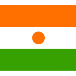 Nigerio stalo vėliavėlė