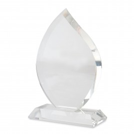 Stiklinis trofėjus CIF(Z-060) 