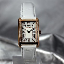 Pierre Cardin PC105172F01