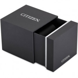 Citizen Ladies FE1081-08E