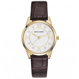 Pierre Cardin PC107892F04