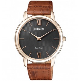 Citizen Eco-Drive AR1133-15H