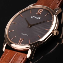 Citizen Eco-Drive AR1133-15H