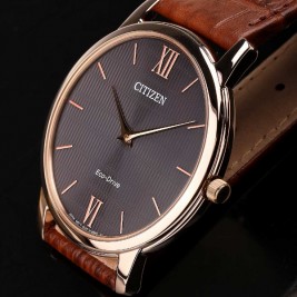 Citizen Eco-Drive AR1133-15H