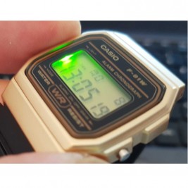 Casio F-91WM-9AEF