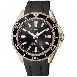 Citizen BN0193-17E
