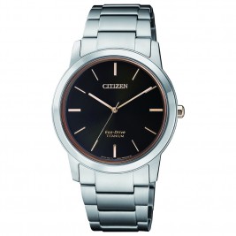 Citizen FE7024-84E