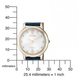 Citizen EX1493-13A