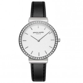 Pierre Cardin PC902352F01