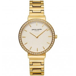 Pierre Cardin PC902352F07