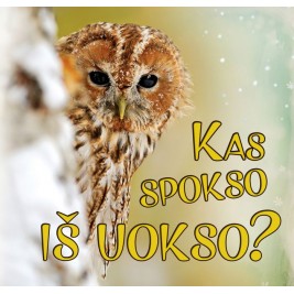 Kas spokso iš uokso?