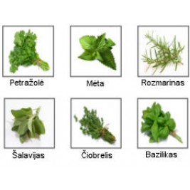 Tarka žolelėms "Easy Prep Herb Mill" KR (MIC48906)