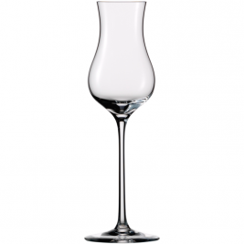 Taurė trauktinei Melissa 20cm, 125ml